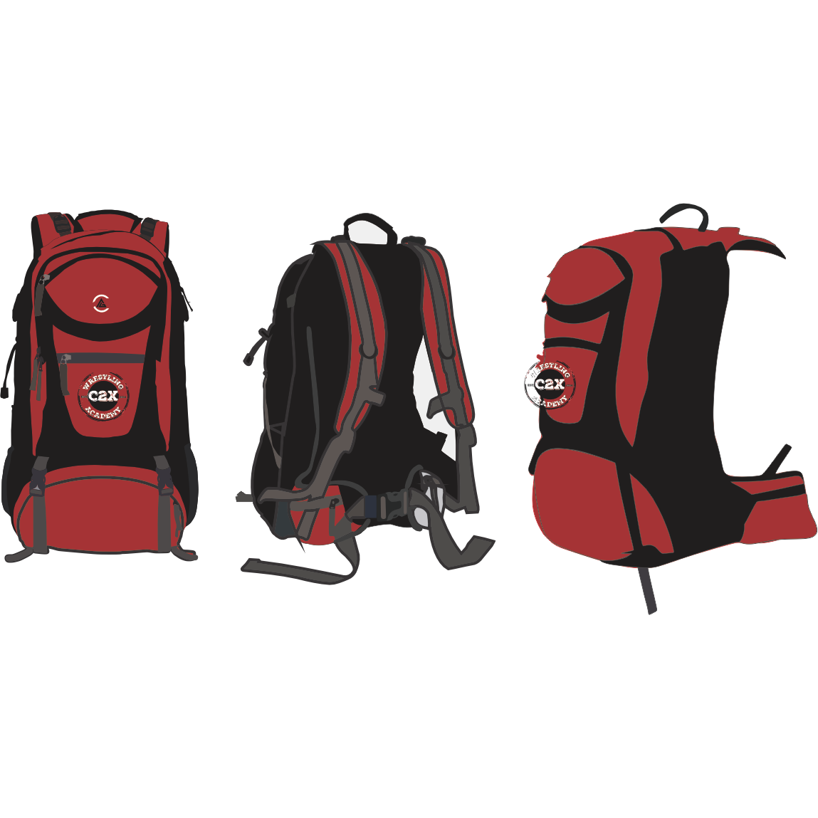 C2X Travel Bag