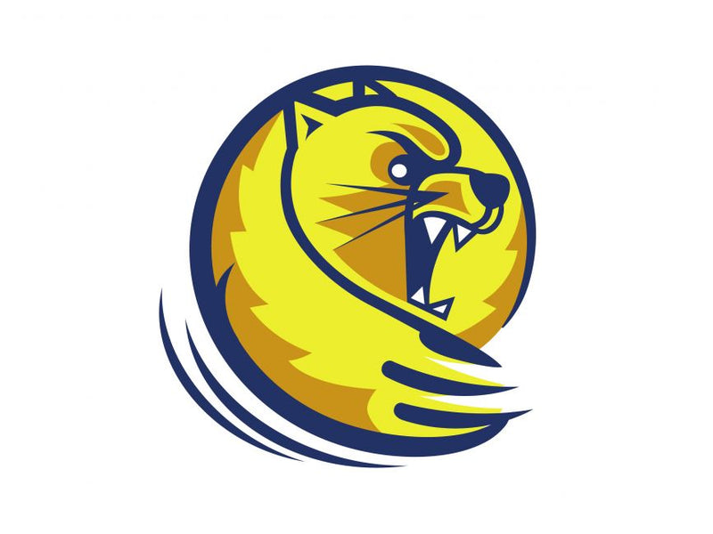 Lander Wrestling